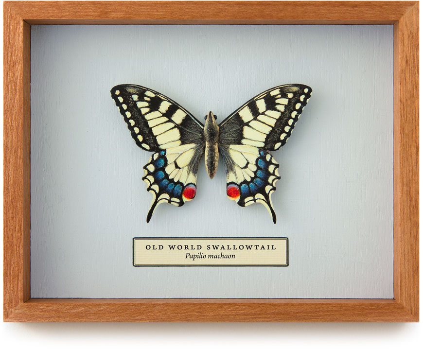Carved and hand-painted Old World swallowtail butterfly