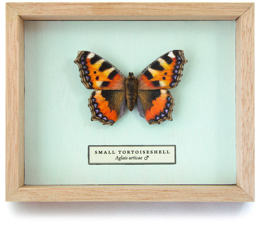 Carved and hand-painted Small Tortoiseshell butterfly