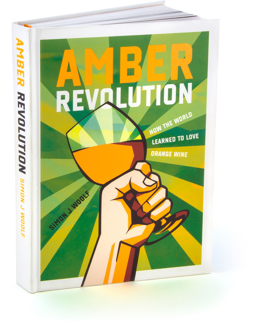 Boekomslag ontwerp Amber Revolution