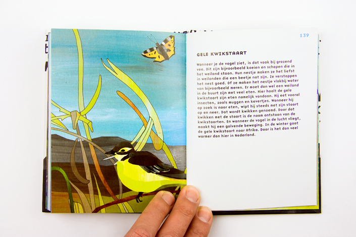 Book design for AOC Friesland Je ziet ze vliegen