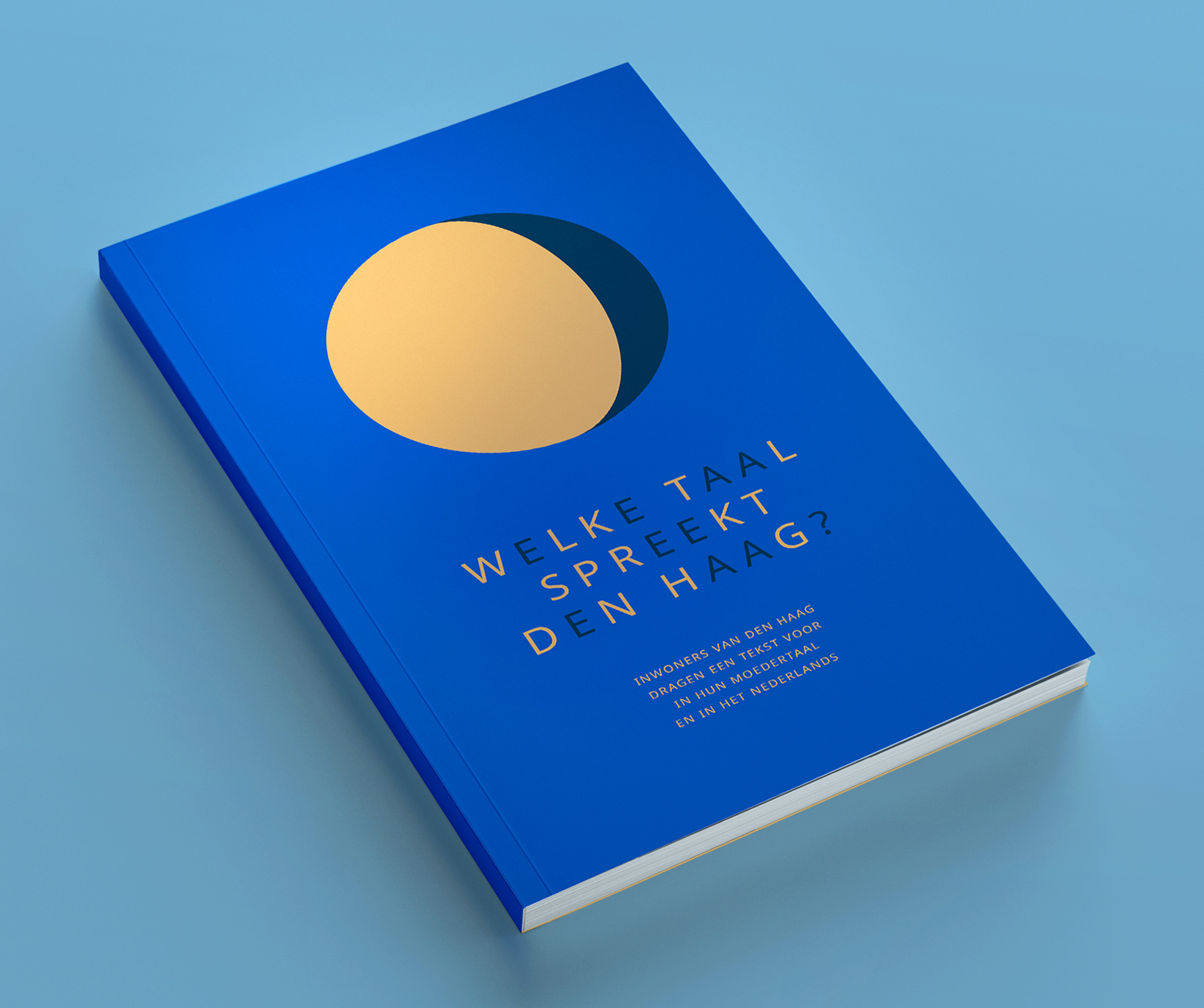 Boek cover ontwerp Welke taal spreekt Den Haag?