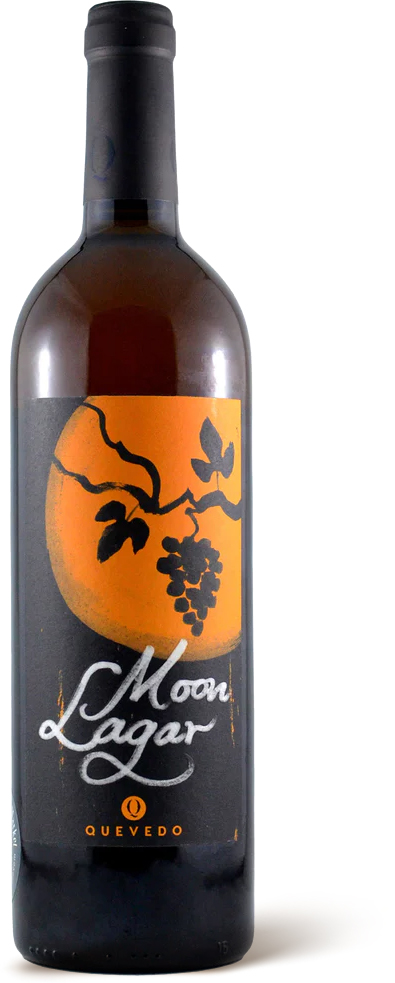 Wine label hand drawn illustration Moon Lagar