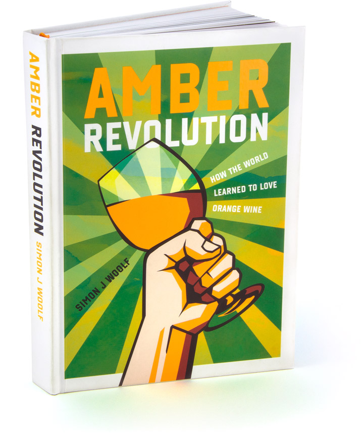 Custom typeface PLAKBAND applied in cover design Amber Revolution